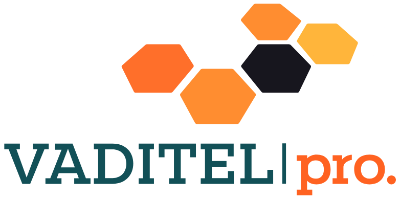 Logo VaditelPro