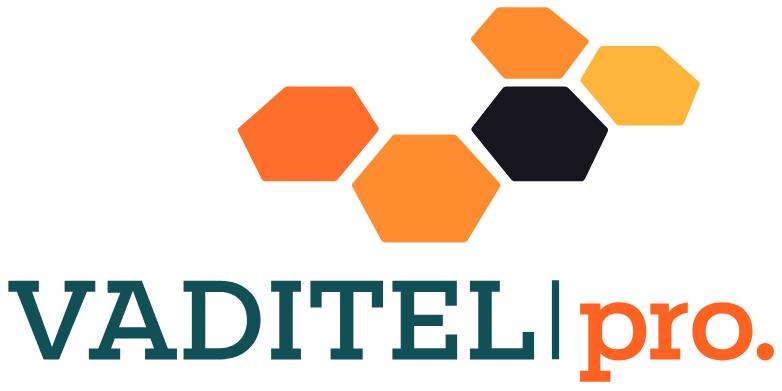 Logo VaditelPro